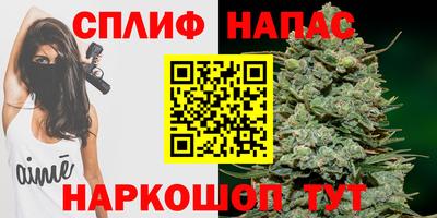 гашик Чапаевск