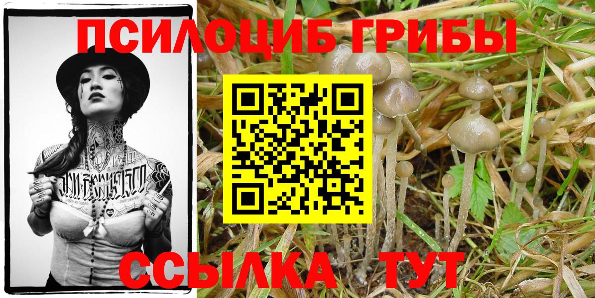 Псилоцибиновые грибы MAGIC MUSHROOMS Анжеро-Судженск